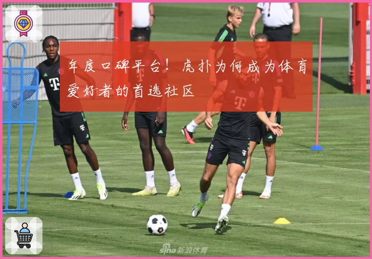 年度口碑平台！虎扑为何成为体育爱好者的首选社区